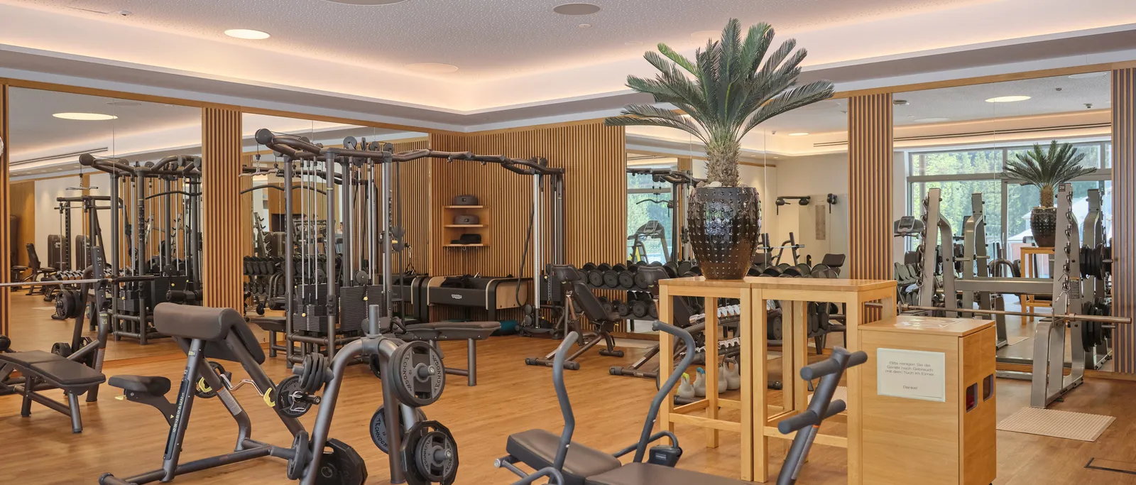 Bright fitness room with equipment and a palm tree