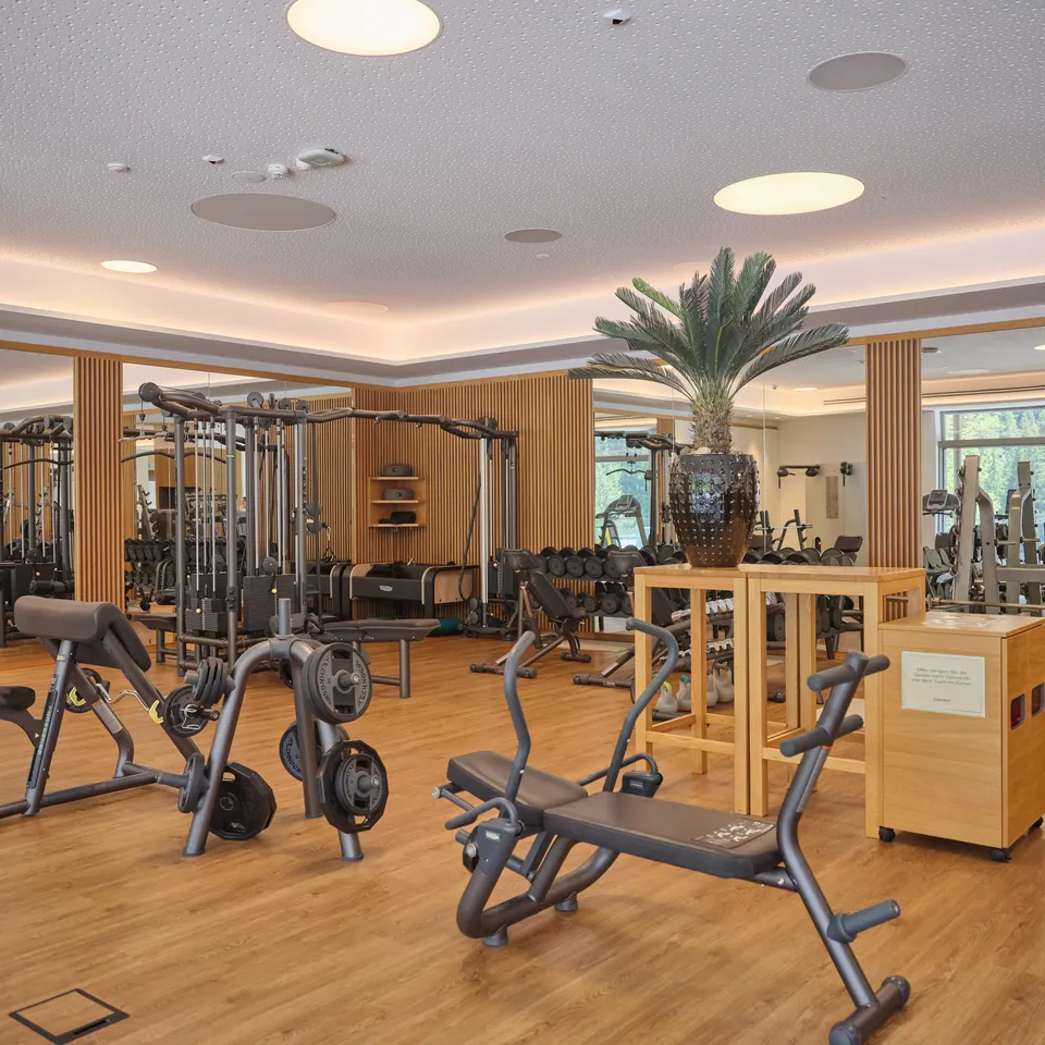 Bright fitness room with equipment and a palm tree
