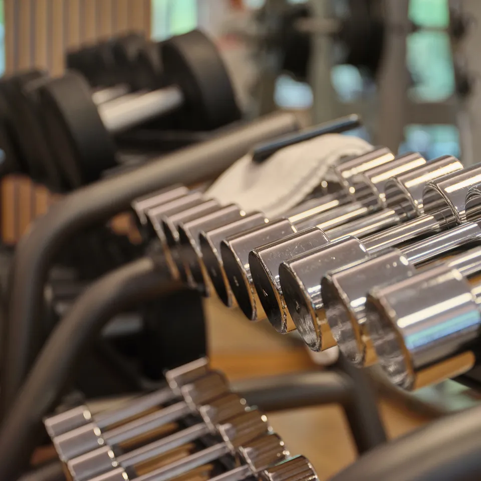 Dumbbells on a dumbbell rack in the gym