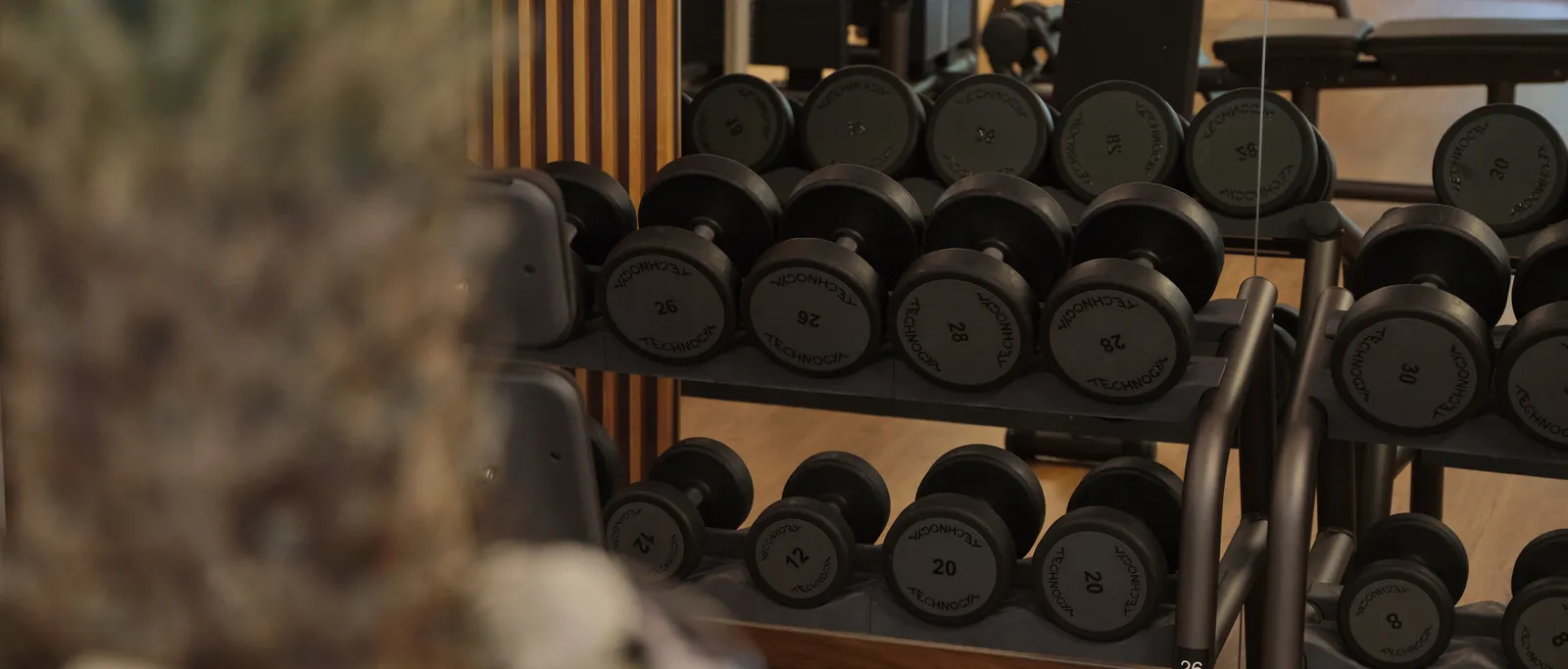 Dumbbell rack in the fitness room with mirror and training equipment at the Sporthotel Wagrain