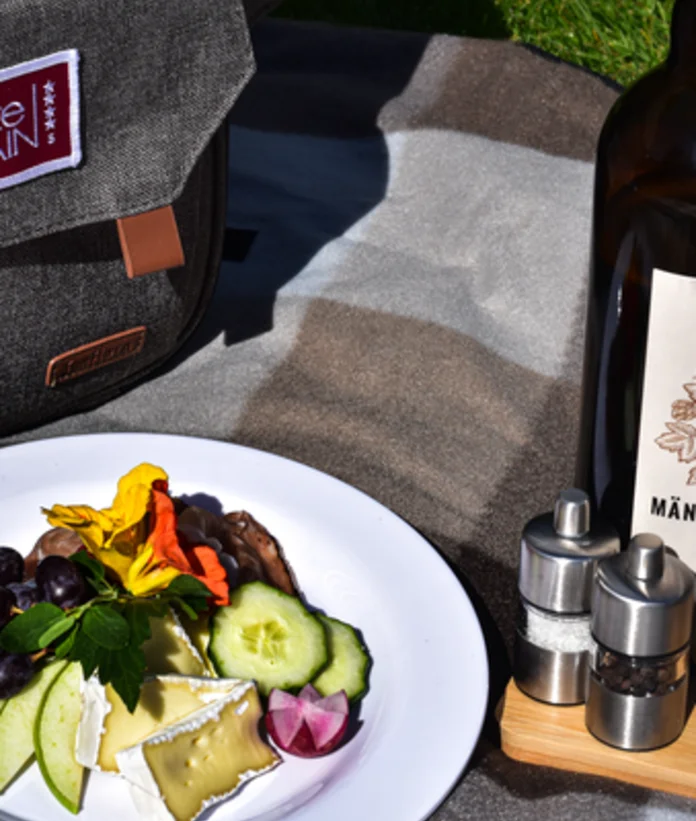 Picnic blanket with cheese, grapes, cucumbers, backpack and beer bottle outdoors