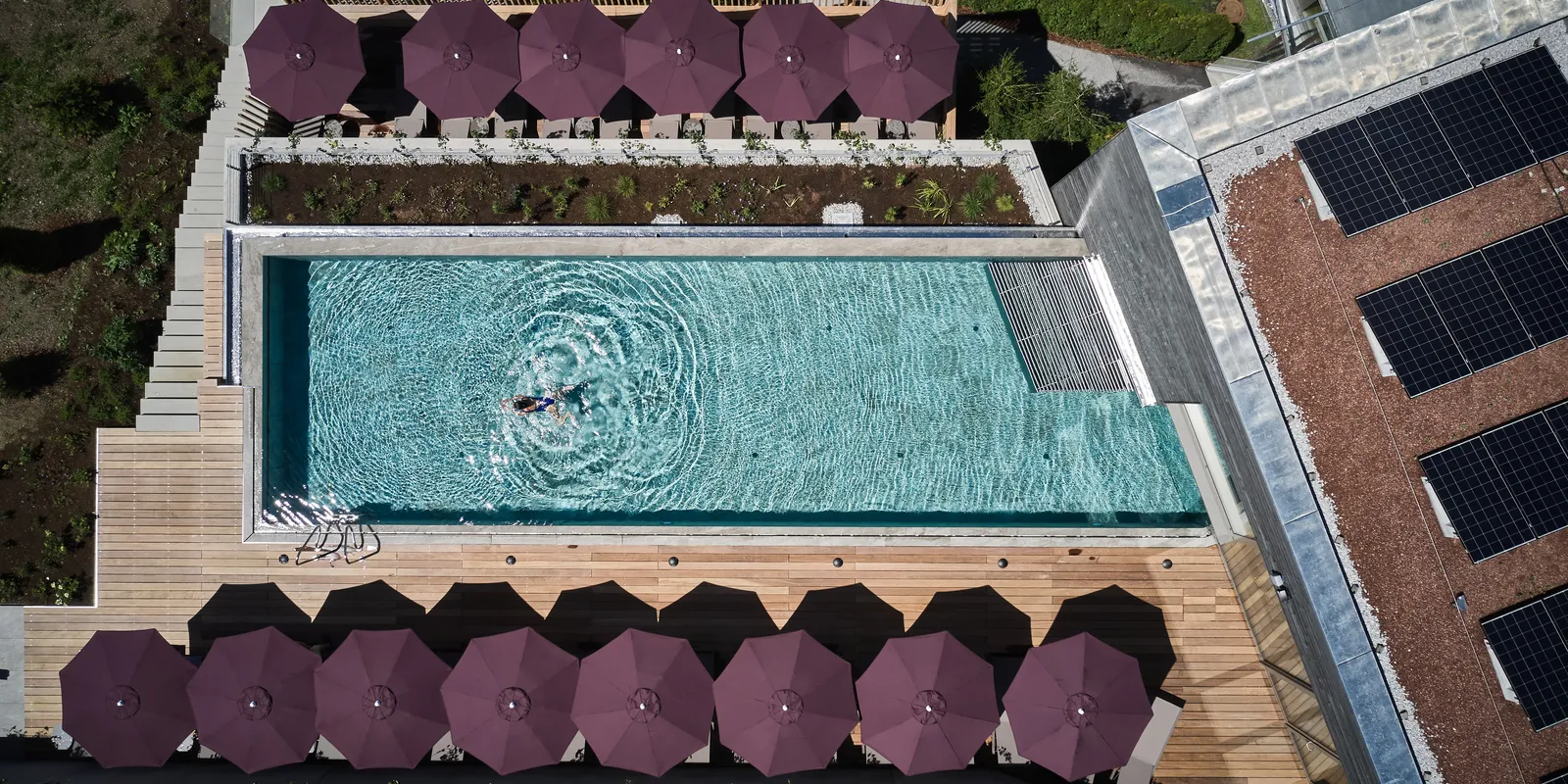 Top view of hotel pool with loungers and person in the water