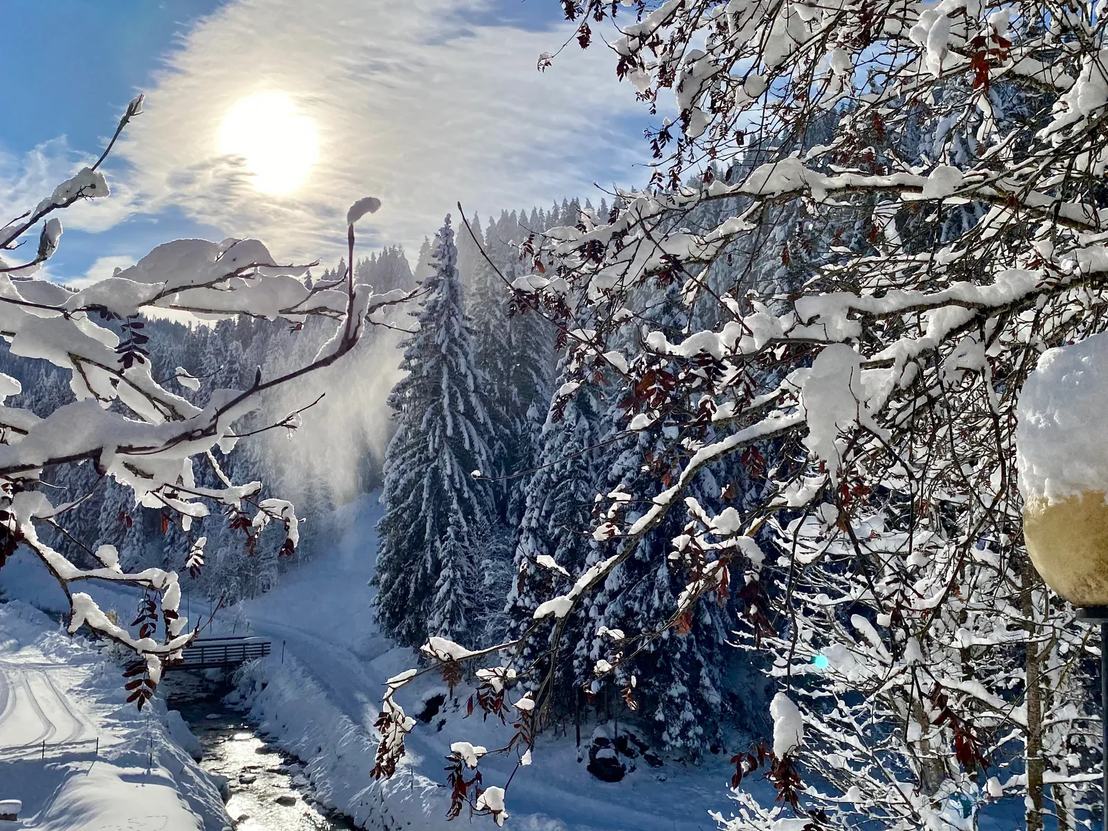 Winter landscape with snow-covered trees, river and bright sun
