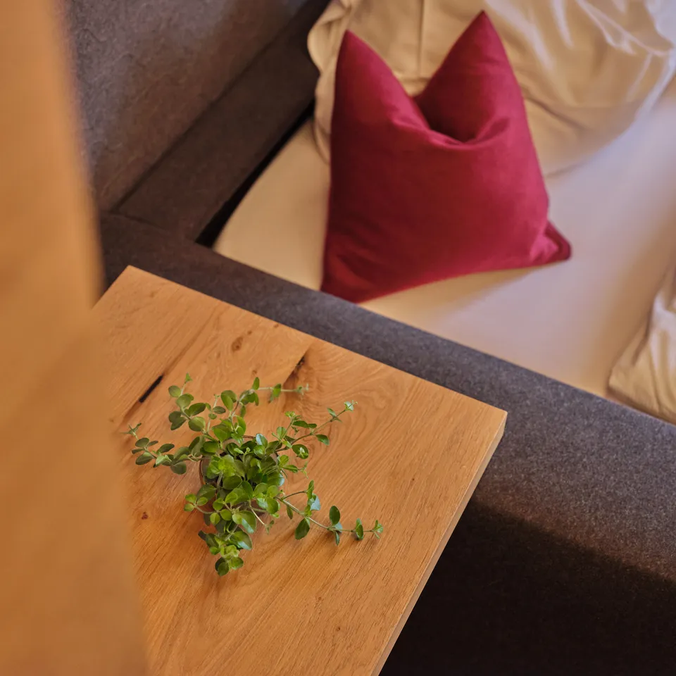 Bedside table with plant next to bed with red pillow