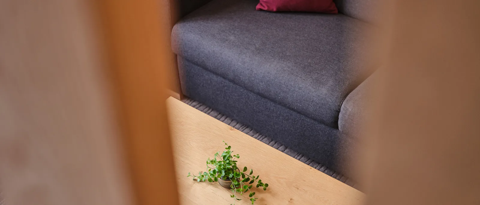 Grey sofa with red cushions and wooden table with plant