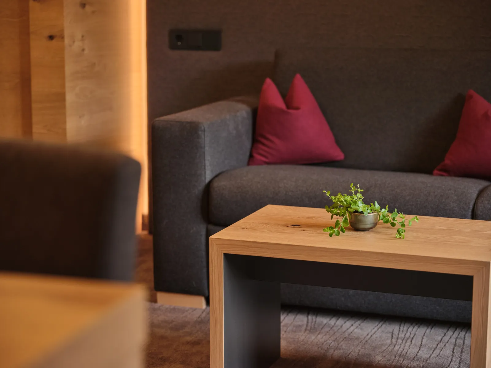 Graues Sofa mit rotem Kissen und Holztisch mit Pflanze in modernem Hotelzimmer