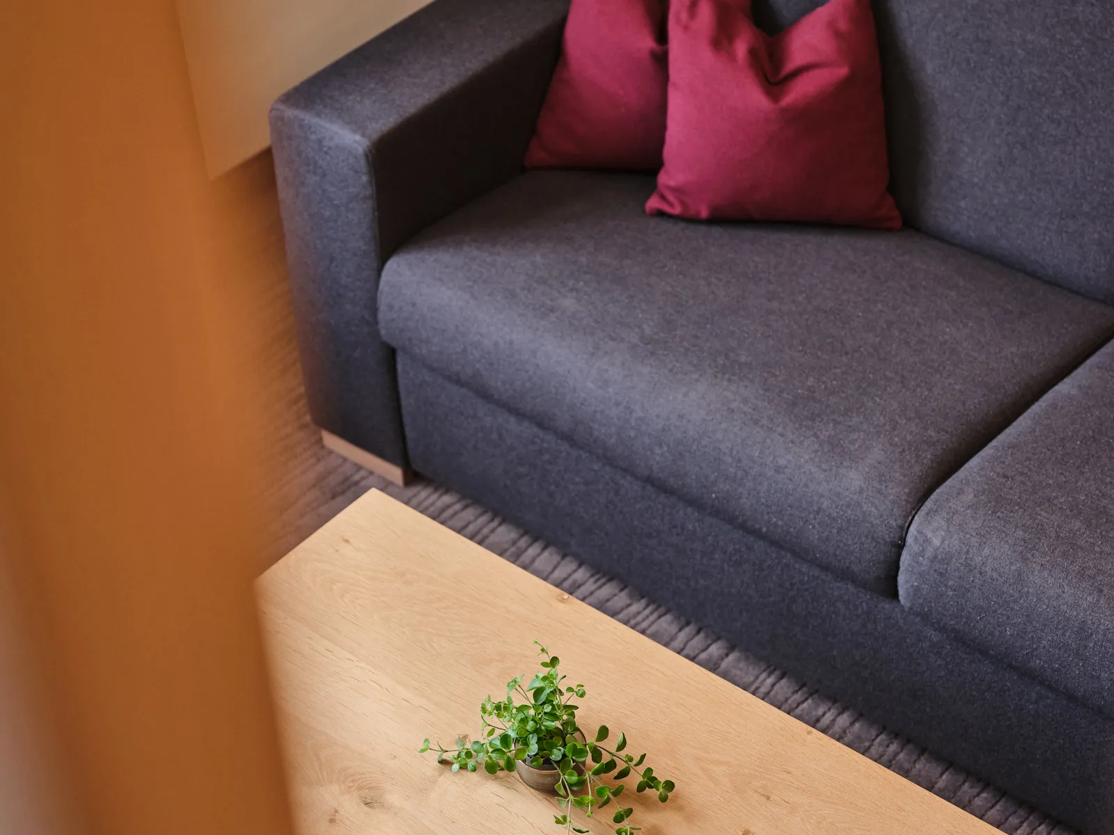 Graues Sofa mit roten Kissen und Holztisch mit grüner Pflanze