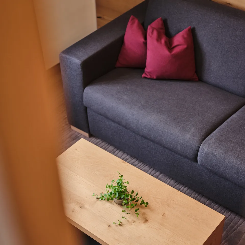Grey sofa with red cushions and wooden table with green plant