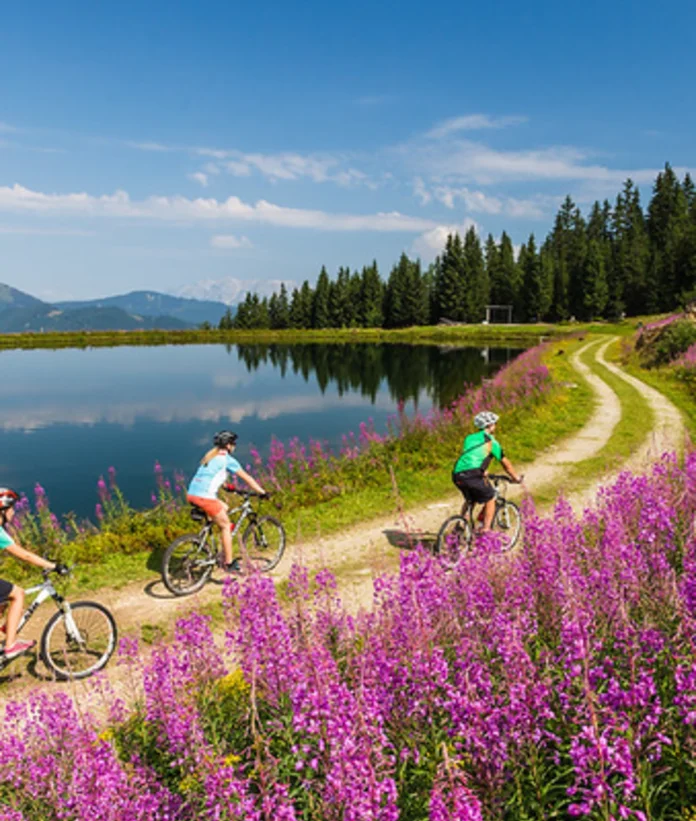 Three cyclists on a gravel path by a lake with a flower meadow and forest in the background
