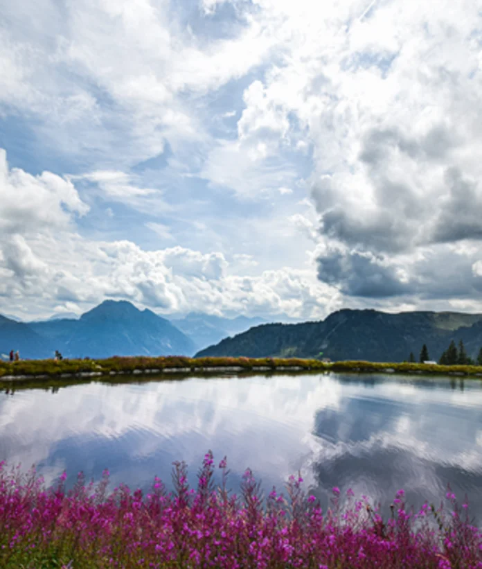 Mountain lake with reflection, pink flowers in the foreground, cloudy sky