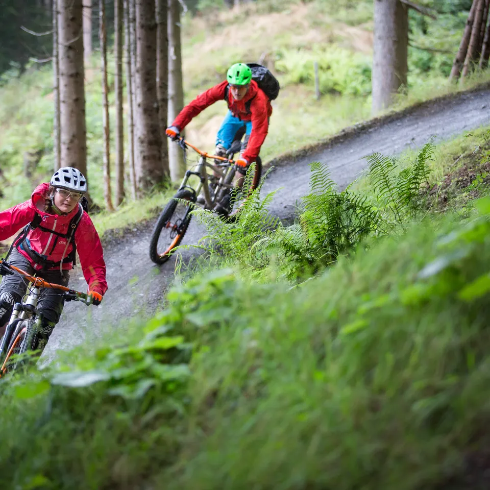Zwei Mountainbiker fahren bergab auf einem Waldweg