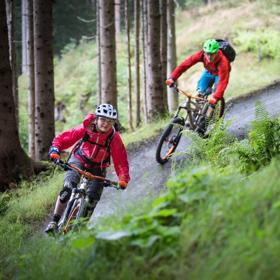 Zwei Mountainbiker fahren bergab auf einem Waldweg