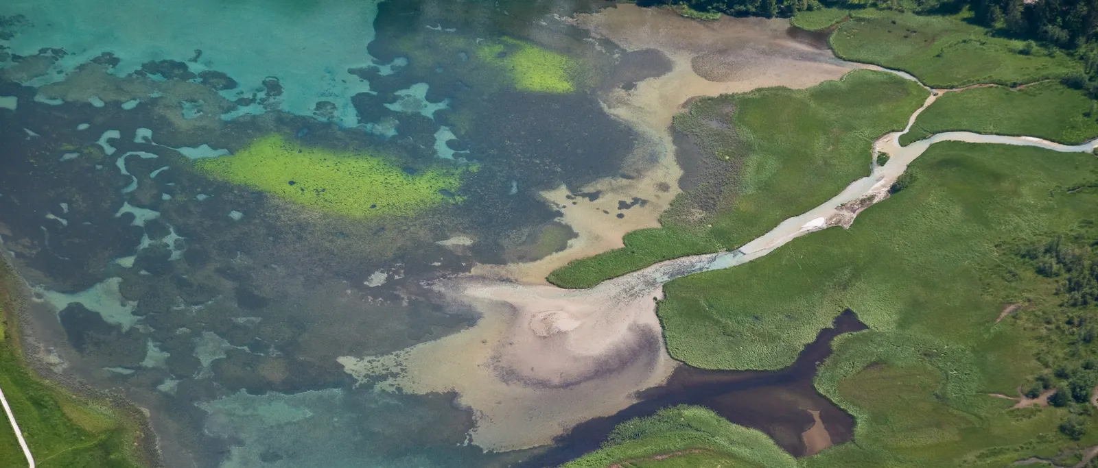 Luftaufnahme: See mit grünem Ufer, Zufluss und umliegendem Wald