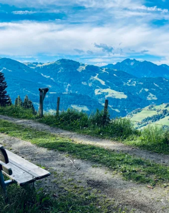 Berglandschaft mit Weg, Bank und bewaldeten Hügeln unter blauem Himmel