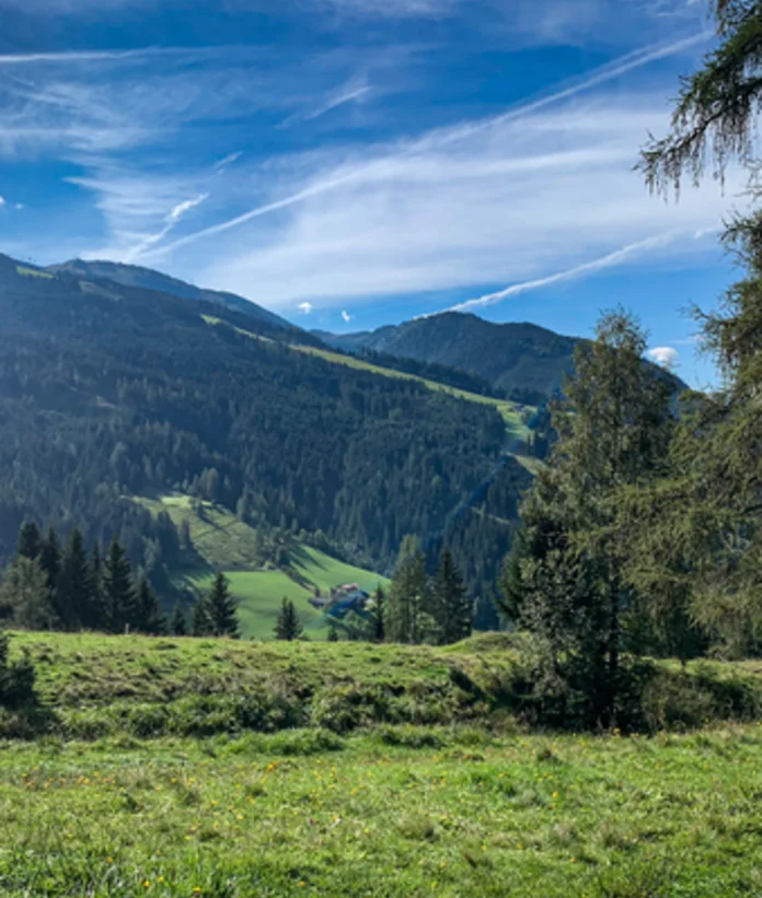 Grüne Wiese vor bewaldeten Bergen unter blauem Himmel mit Wolkenstreifen