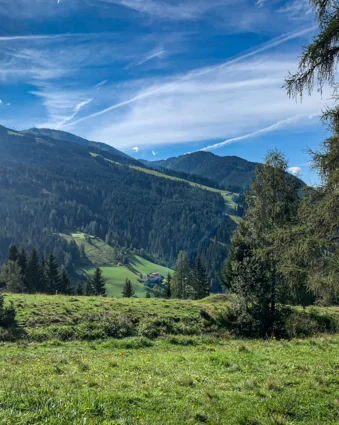 Grüne Wiese vor bewaldeten Bergen unter blauem Himmel mit Wolkenstreifen
