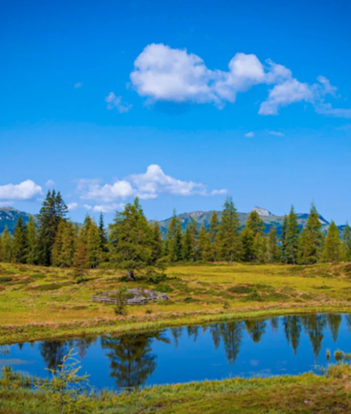 Bergsee mit Spiegelung, Wiese, Bäume und blauer Himmel