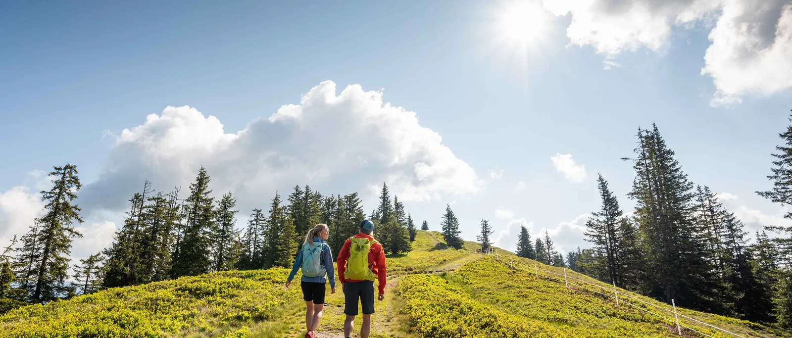 Hiker on green hill path under blue sky with clouds and sun