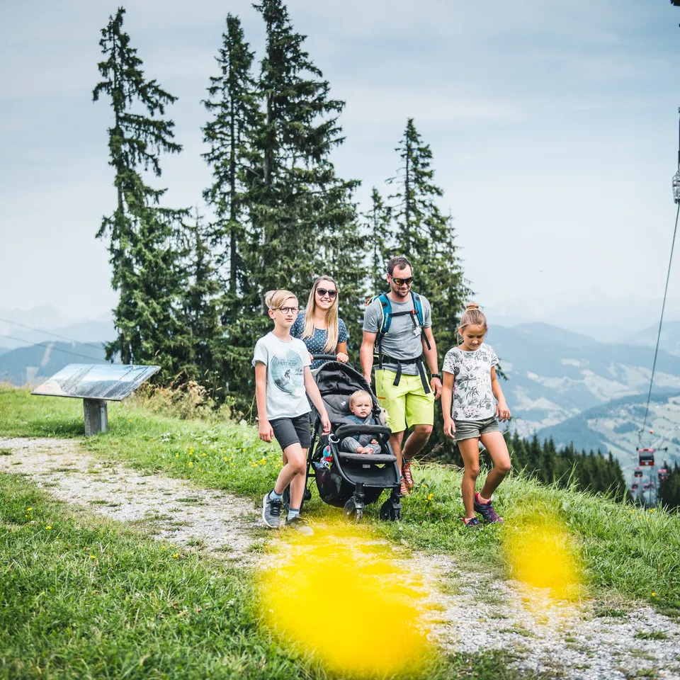 Familie mit Kinderwagen wandert auf einem grünen Hügel mit Bergblick