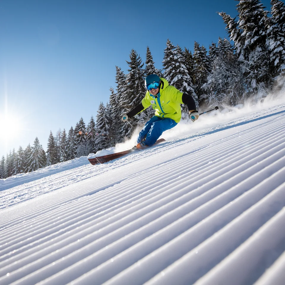 Skiers on groomed slopes in front of snow-covered trees in bright sunshine