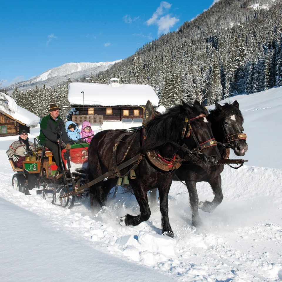 Horse-drawn sleigh ride through snowy winter landscape in Wagrain-Kleinarl