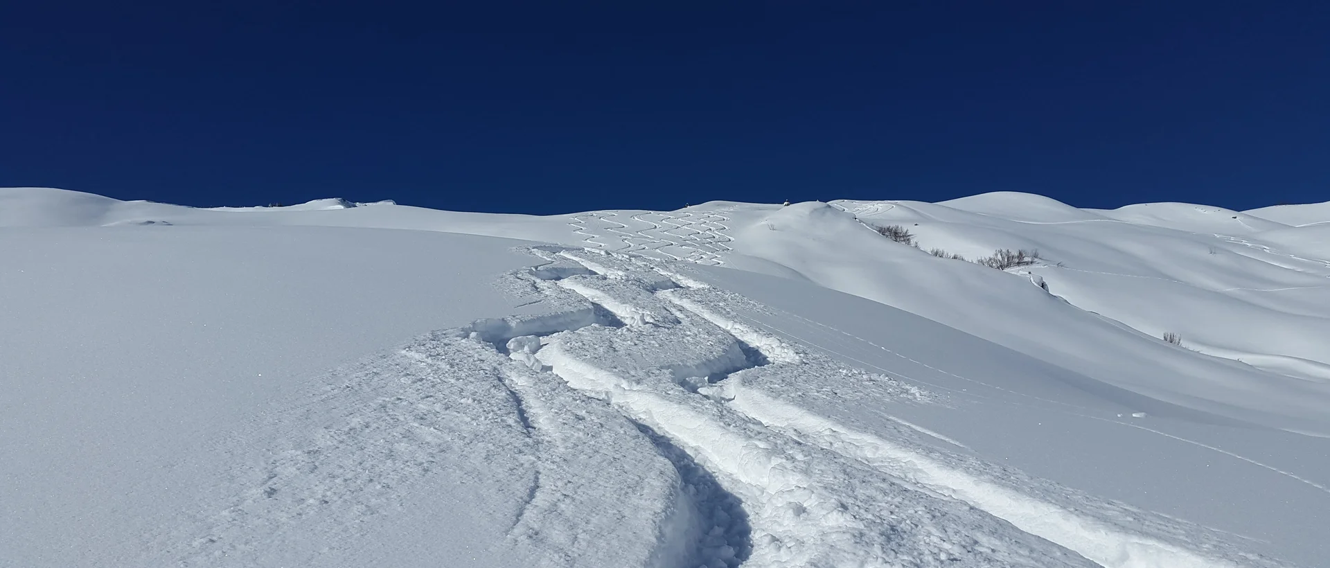 Pulverschneehang mit Skispuren unter blauem Himmel