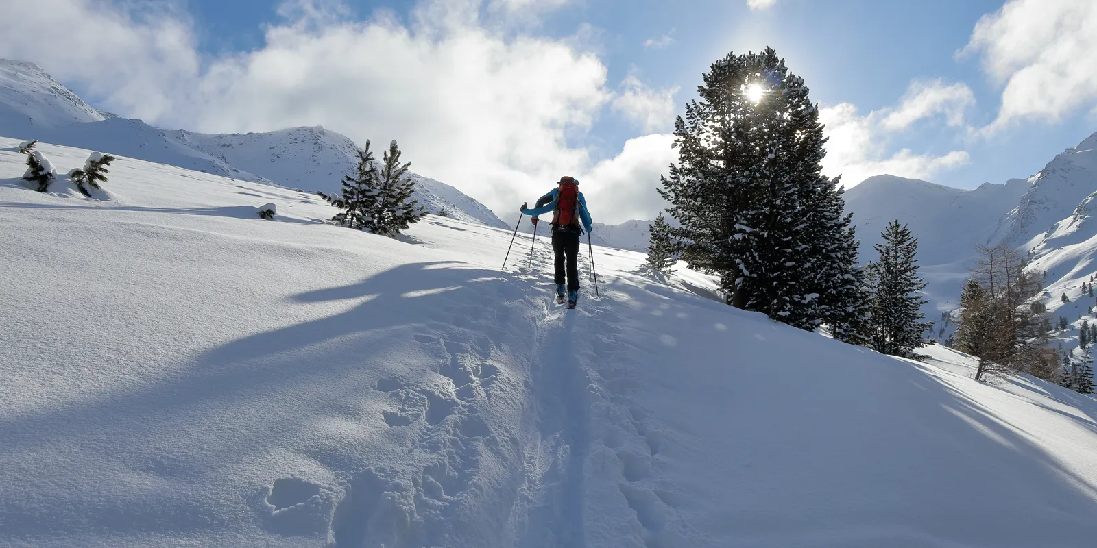 Ski tourer walks on snow-covered ridge, sun shines through tree